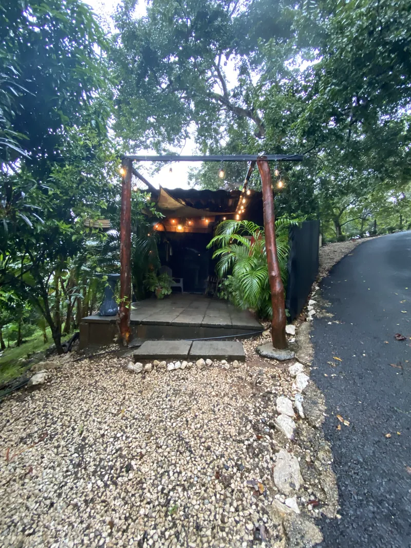 The sheltered deck entrance of the Jungle Tiny Home, framed by wooden posts and string lights and tucked into the trees beside the estate road.