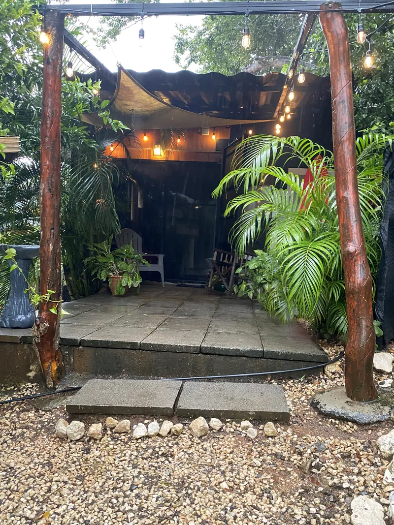 The covered patio deck with warm string lights, potted palms, and seating under a canopy awning.